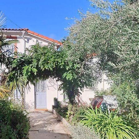 Studio Avec Jardin A 10 Mn A Pied Du Centre Ville Toulouse Ngoại thất bức ảnh